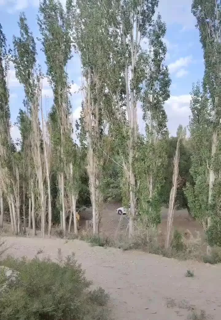 باغ آلو ۴۵۰ متری خوانسار