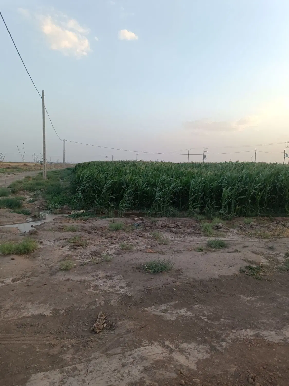 زمین در ورودی جاده سبزوار به نیشابور(فیض آباد)