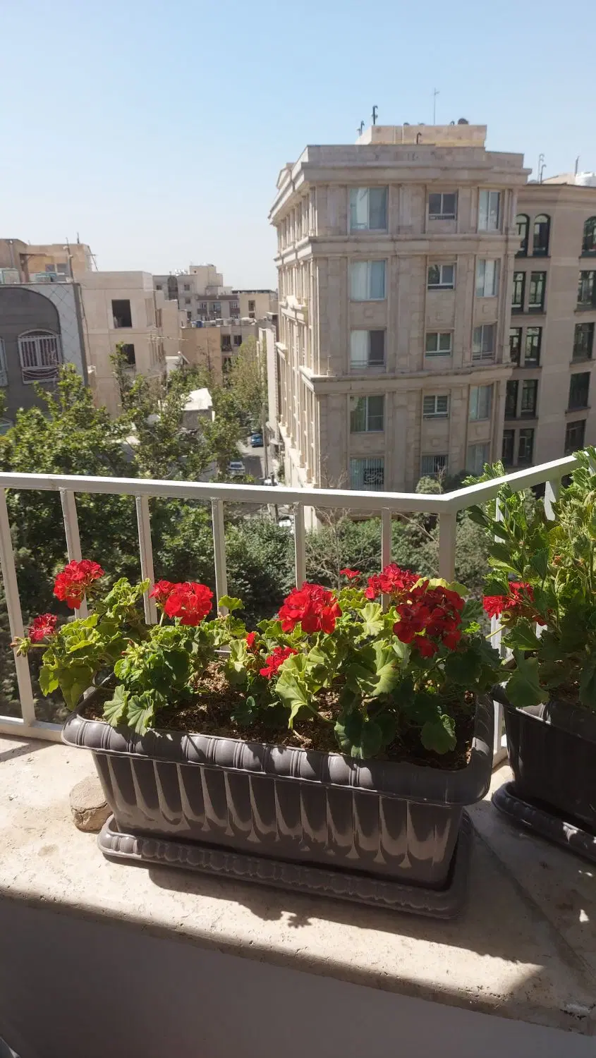 یه واحد آپارتمان