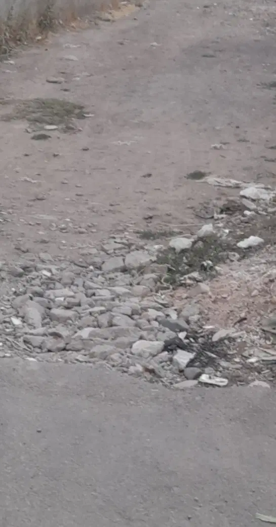 مشارکت درساخت