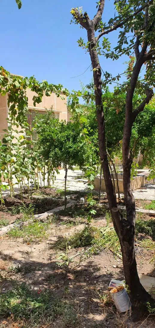 حیاط ویلایی