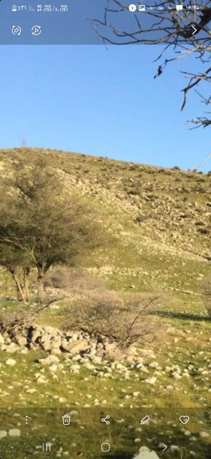 زمین تجاری مسکونی دونبش