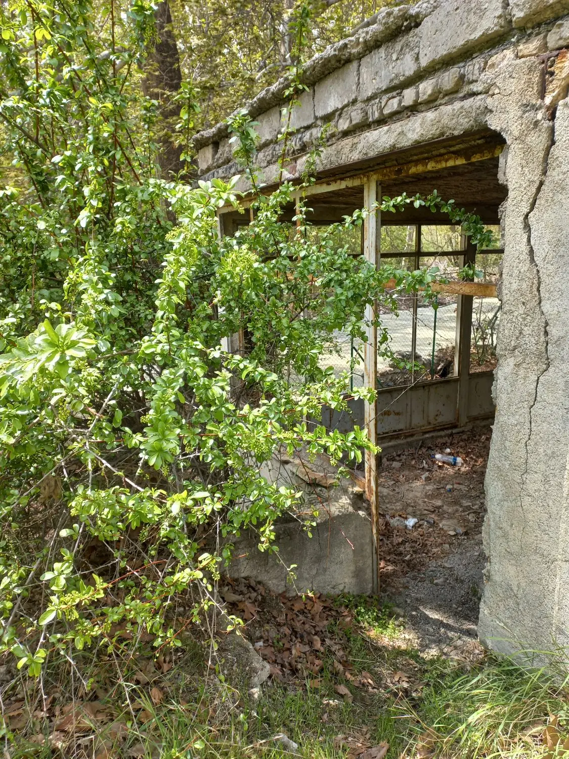 ۳۷۰۰۰متر چهاردیواری دارای ۴ ورودی و بناهای قدیمی