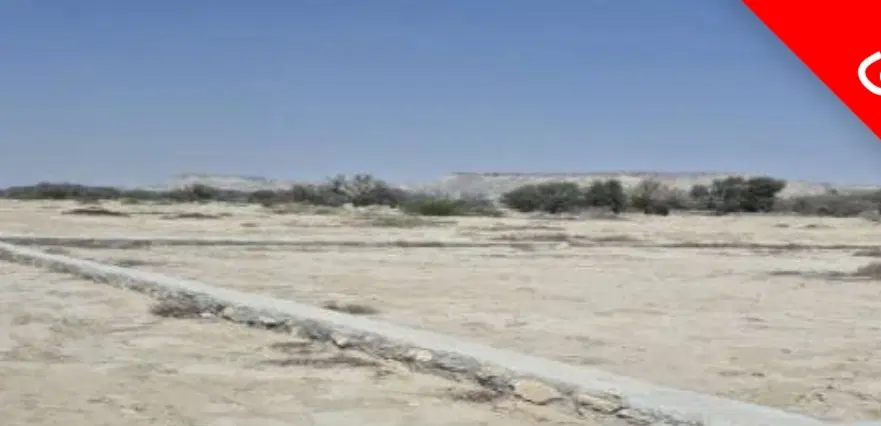 زمین در تنبان(تنب پارسی)