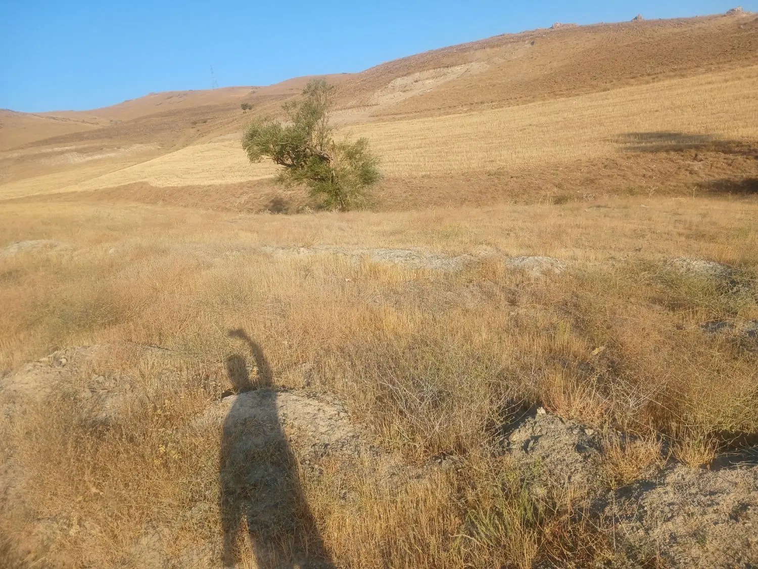 فروش زمین روستای چوره ناب