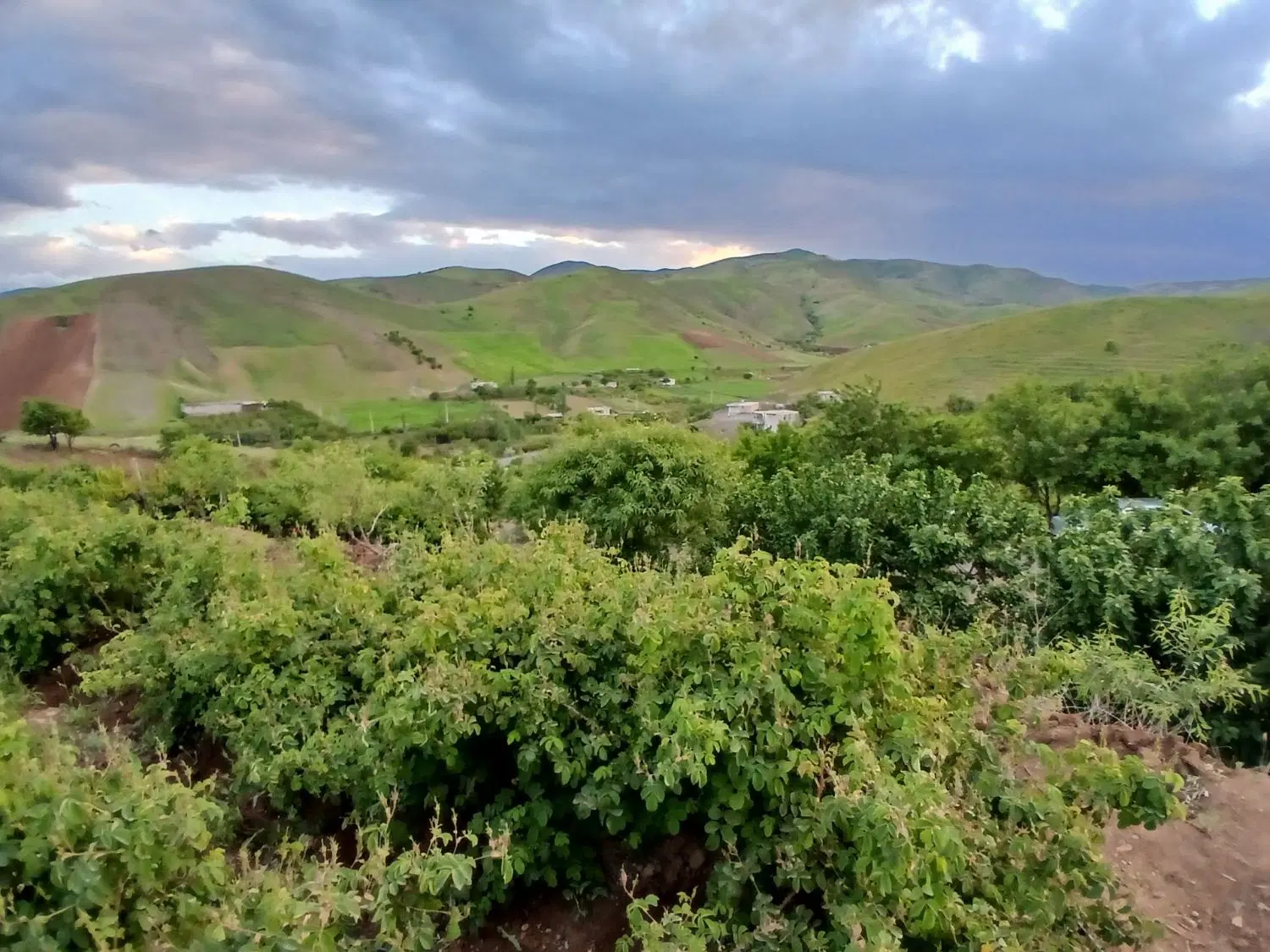 باغ صوفیان