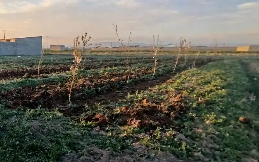 فروش‌زمین‌ویلاعی‌به‌متراژ500متر‌اسفهلان‌ینگی‌کند‌