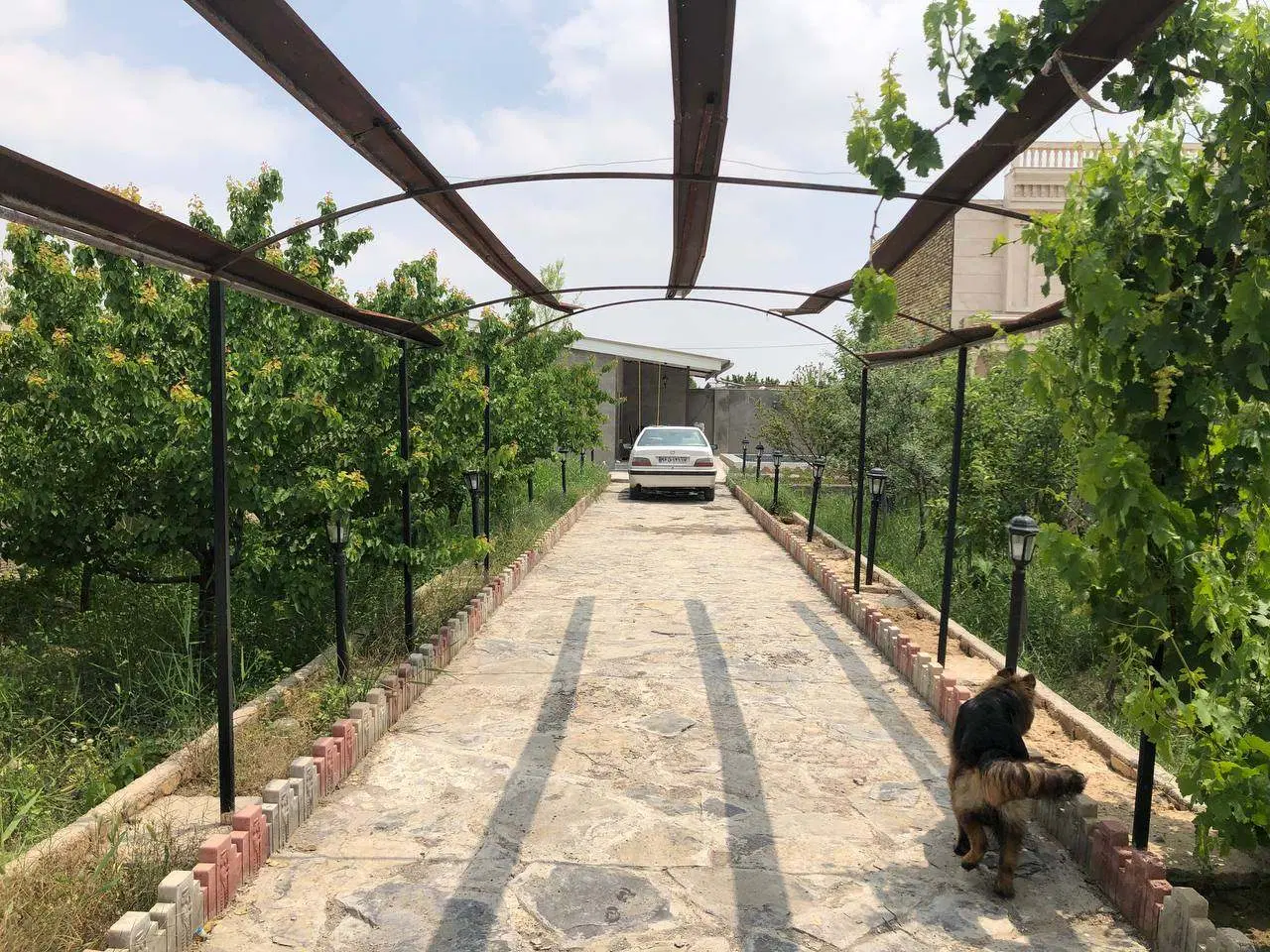 باغ ویلا توس 97 روستای لقمانی