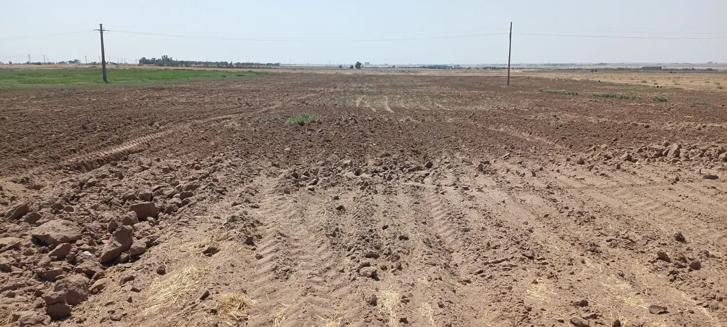 اجاره زمین کشاورزی ۳هکتارچنانه روستای عنکوش