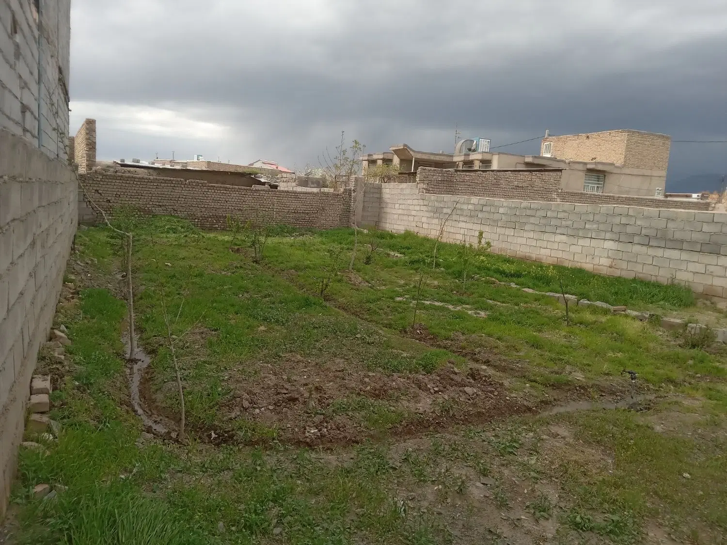 باغ در روستای قلعه نو جمشید
