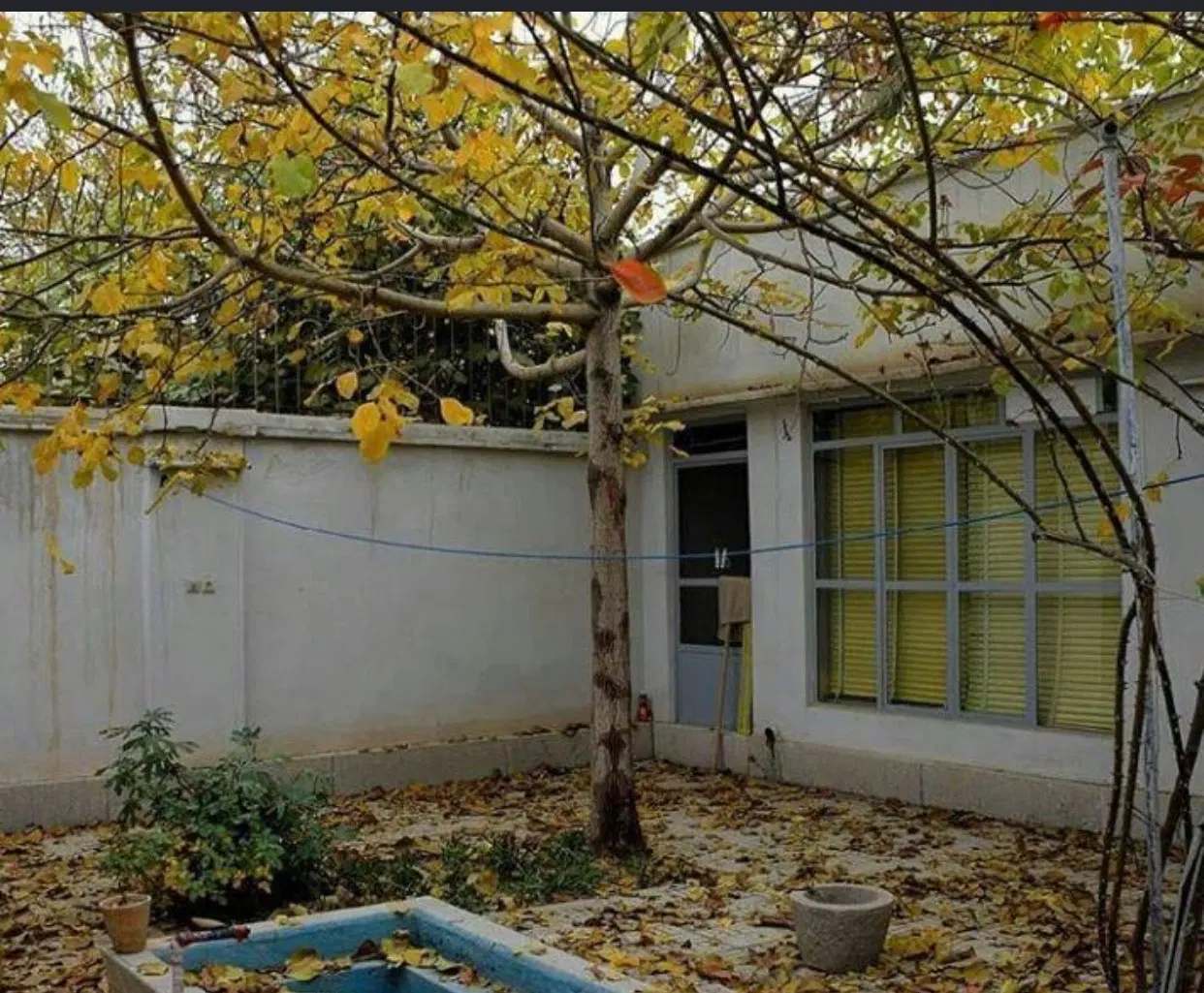 حیاط برای ساخت و ساز