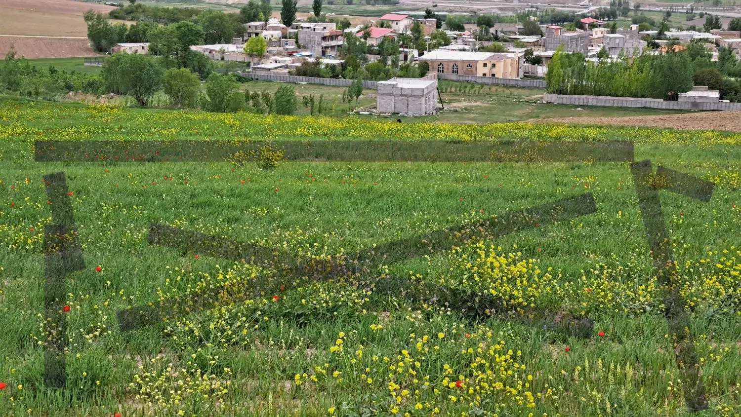 زمین  در  روستای الماس
