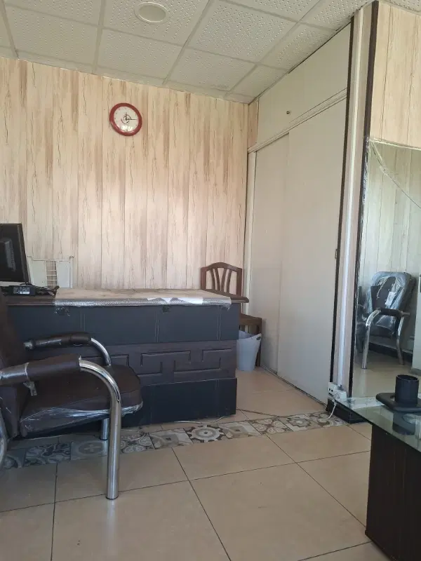سویت ۶۰ متر در درخت سبز
