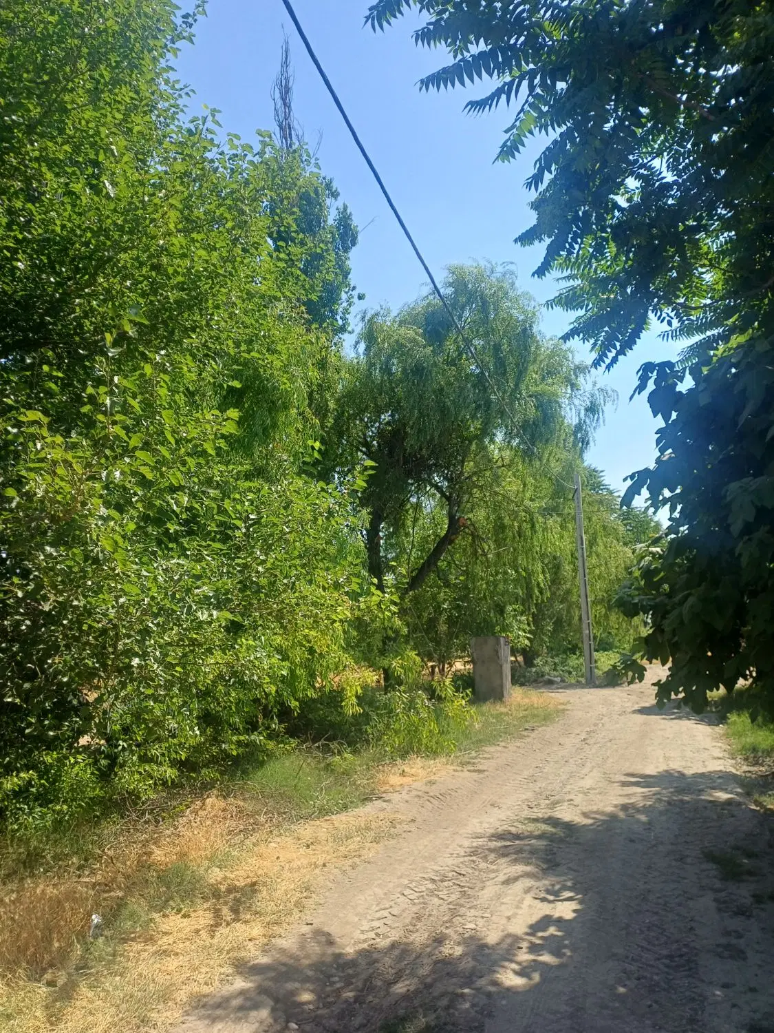فروش زمین