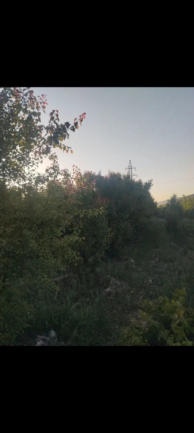 زمین مسکونی