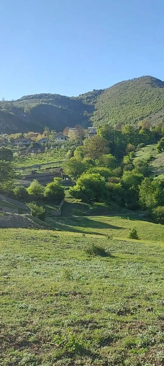 فروش زمین