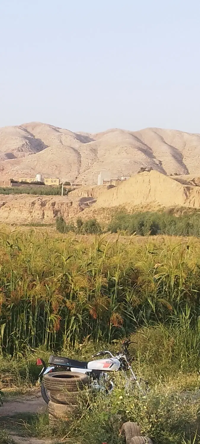 جارو کشاورزی