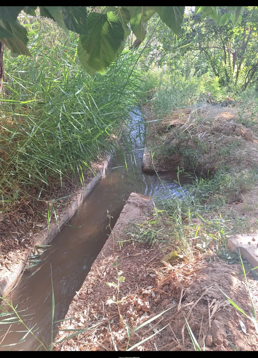 خانه ویلایی