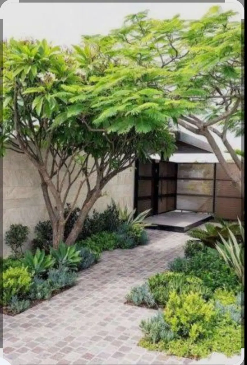 یک قطعه زمین
