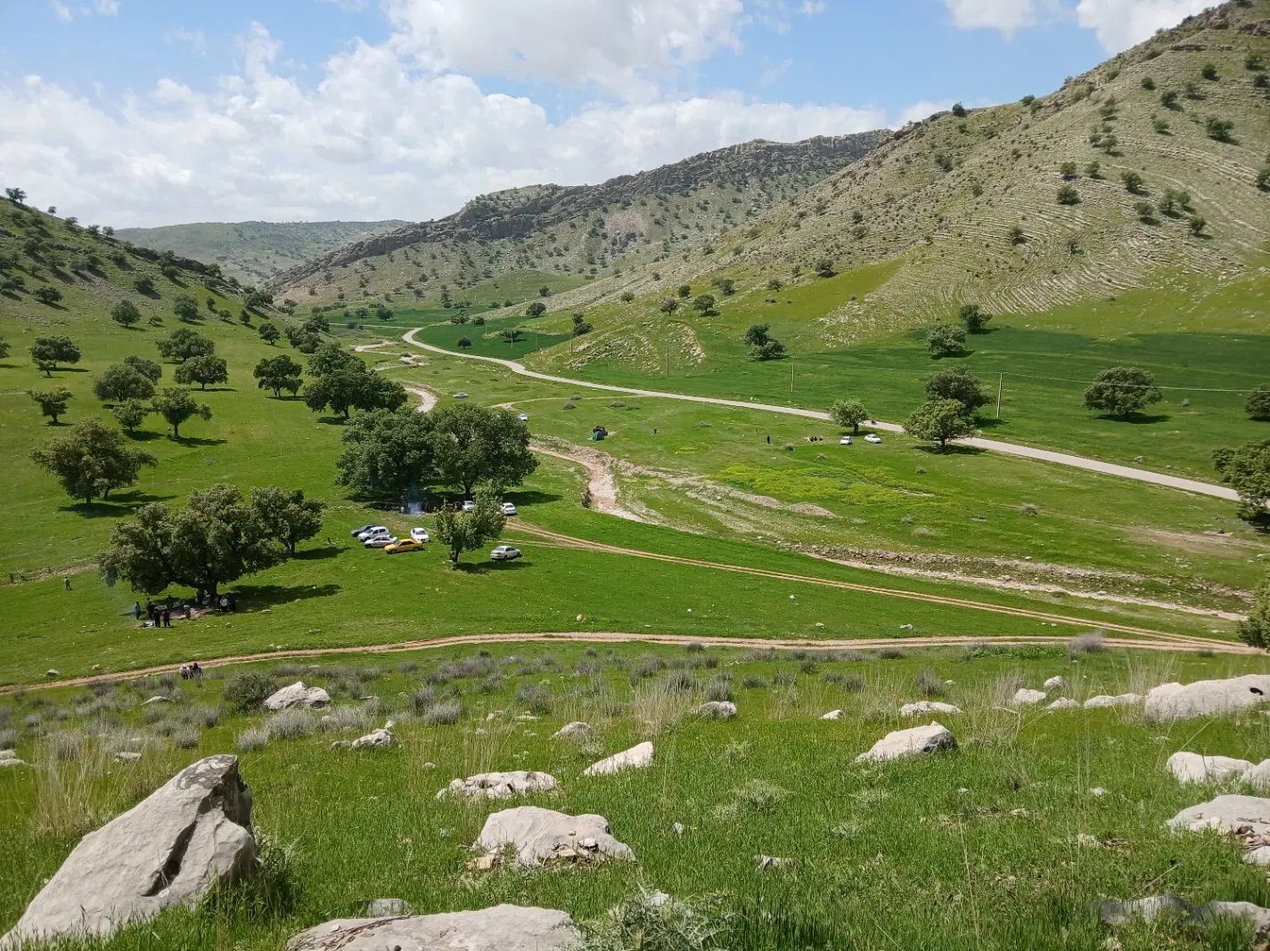 زمین