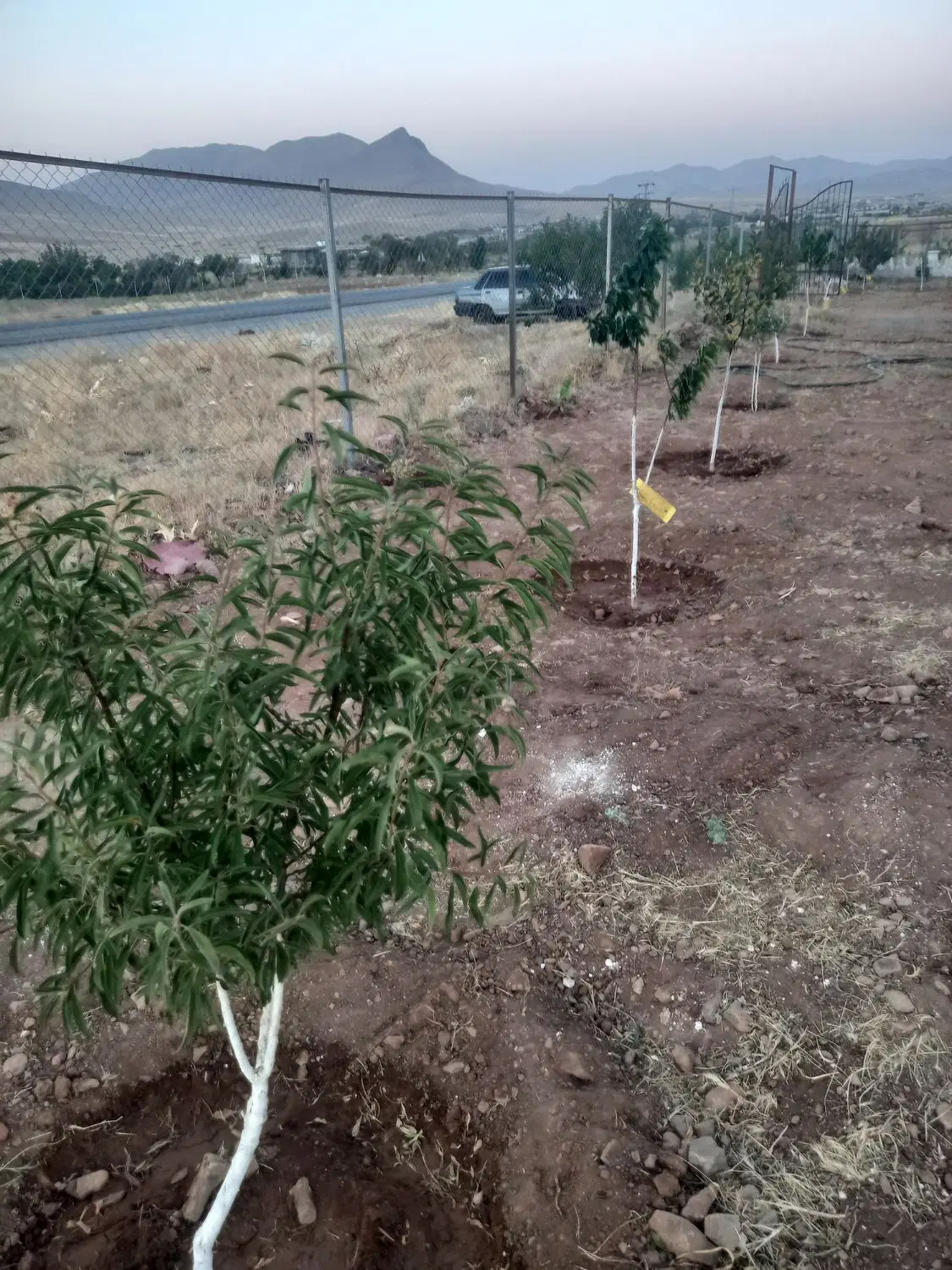 باغ۴۵۰متری بر جاده اصلی چشمه پهن_فنس کشی _980تومن