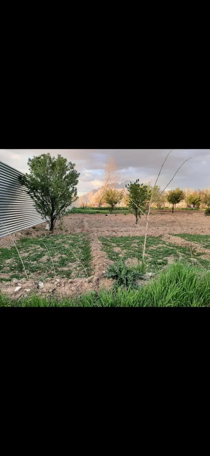 باغ .زمین باغ