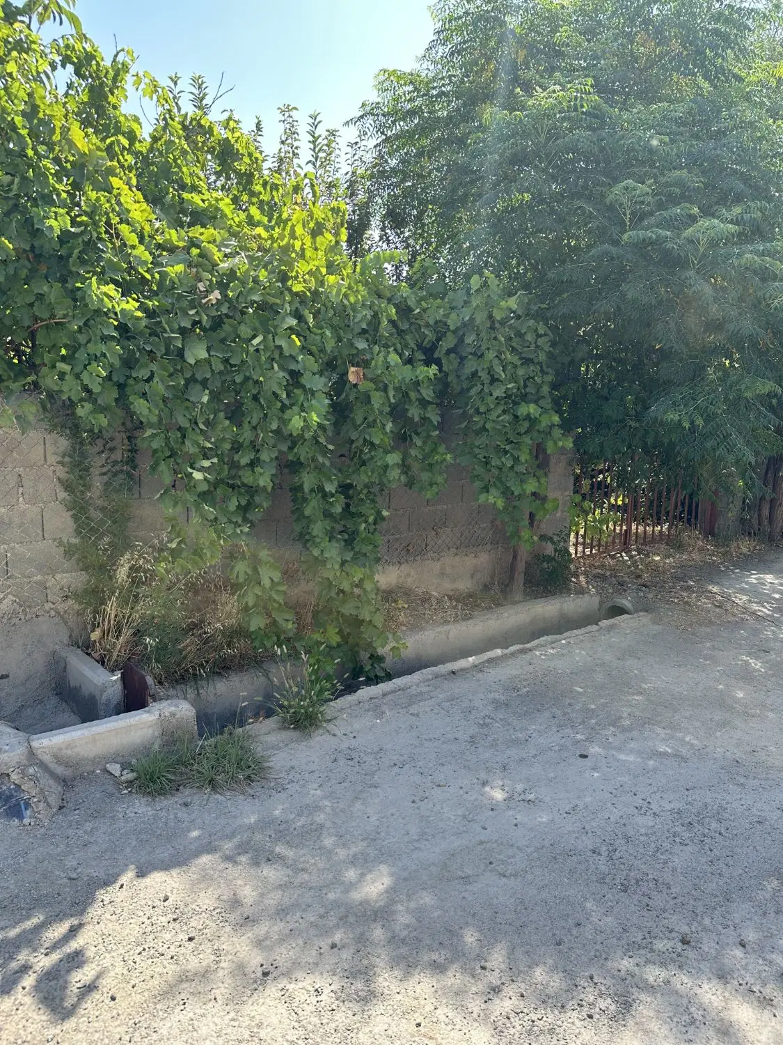 باغچه ۵۲۰ متری چهاردیواری