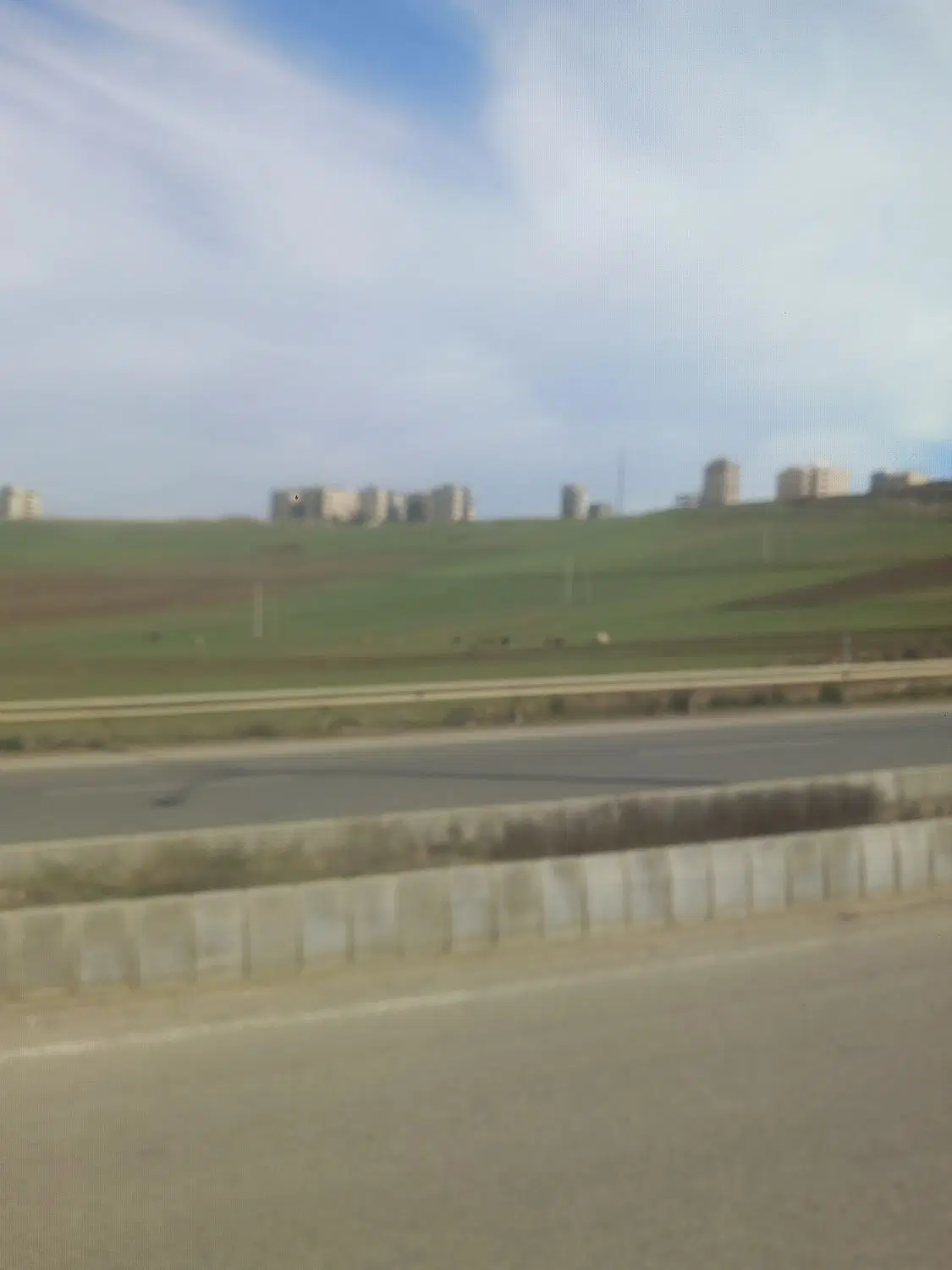 باغ انگور برای ویلا وکارگاهی