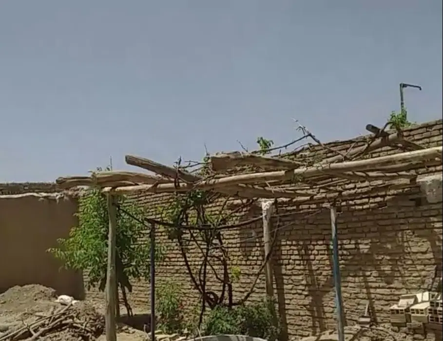 خانه باغ داخل شهر دارای چهار امتیاز