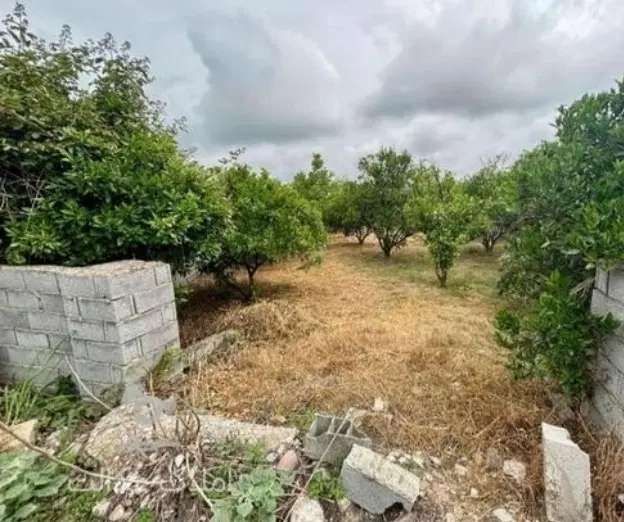 زمین باغی پشت ارامگاه فردوسی