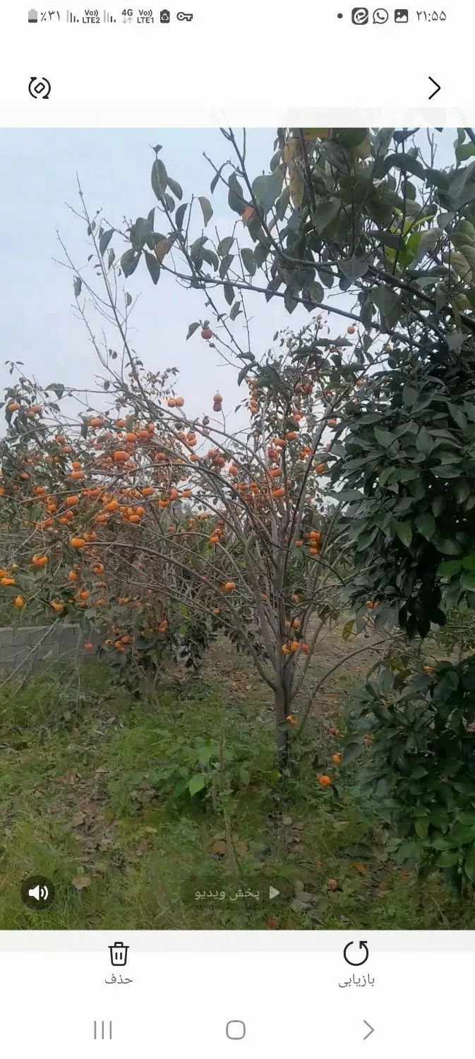 فروش زمین ۳۰۰ متر