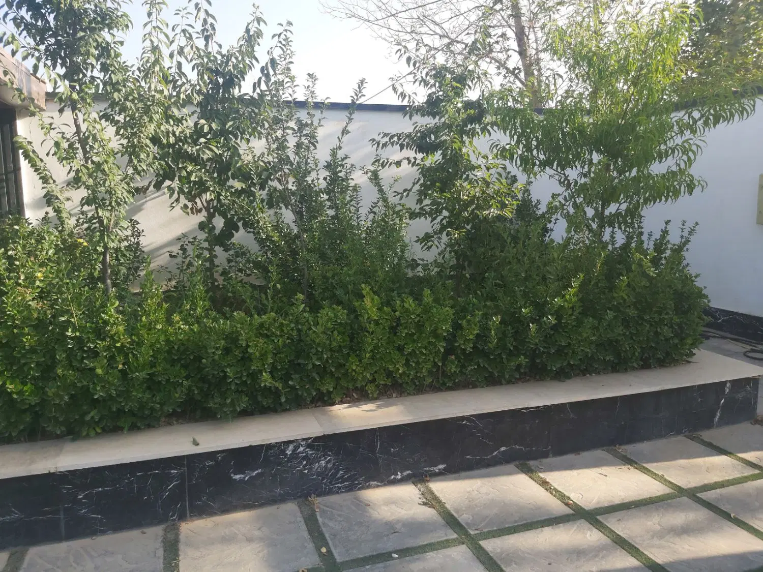 ۳۵ متر مغازه . تجاری قرارداد چندساله-بهترین پاخور