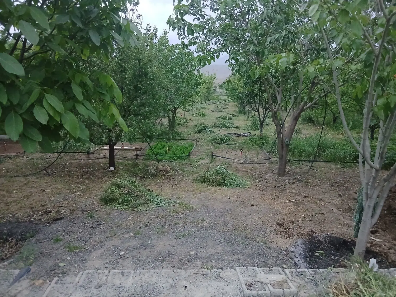 باغ ۵ کیلومتری سنندج