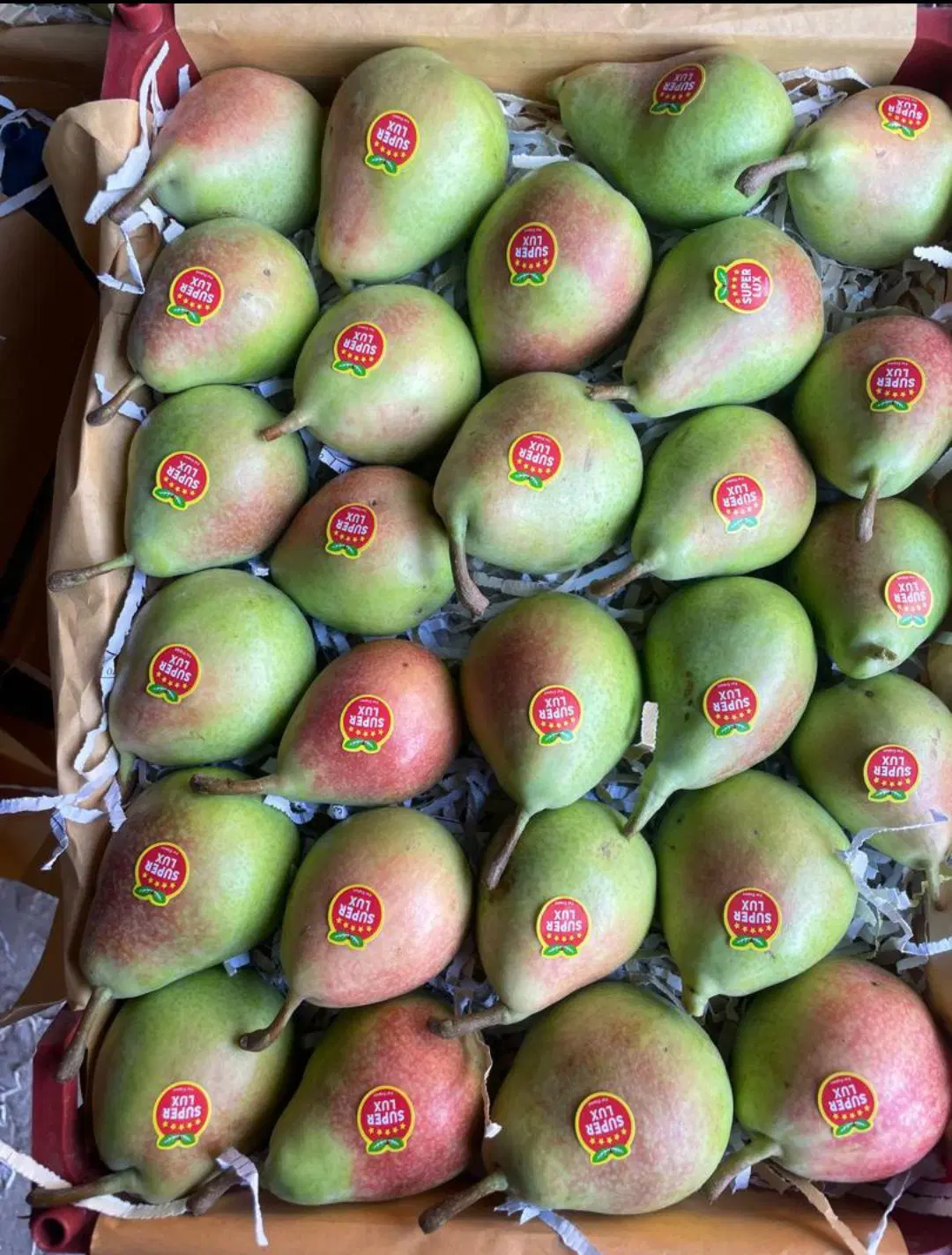 ۸۵هکتارباغ وزمین کشاورزی