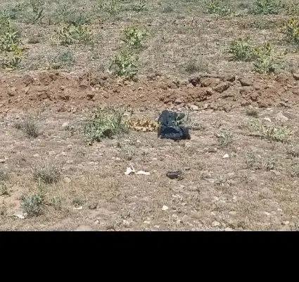 زمین جهاد کشاورزی