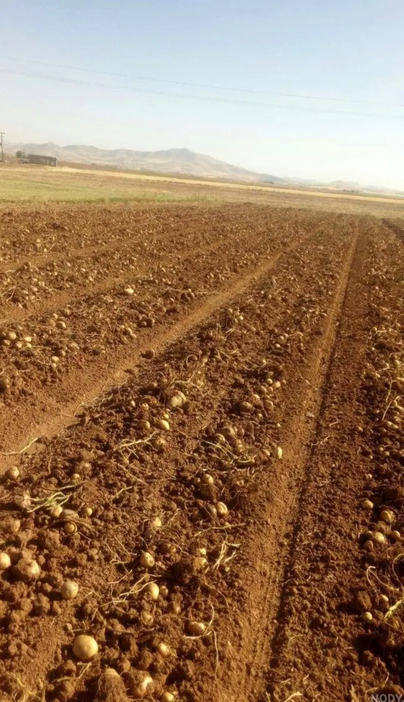 زمین کشاورزی