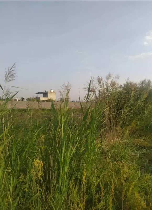زمین زراعی جاده شورکند به قیمت خیلی مناسب