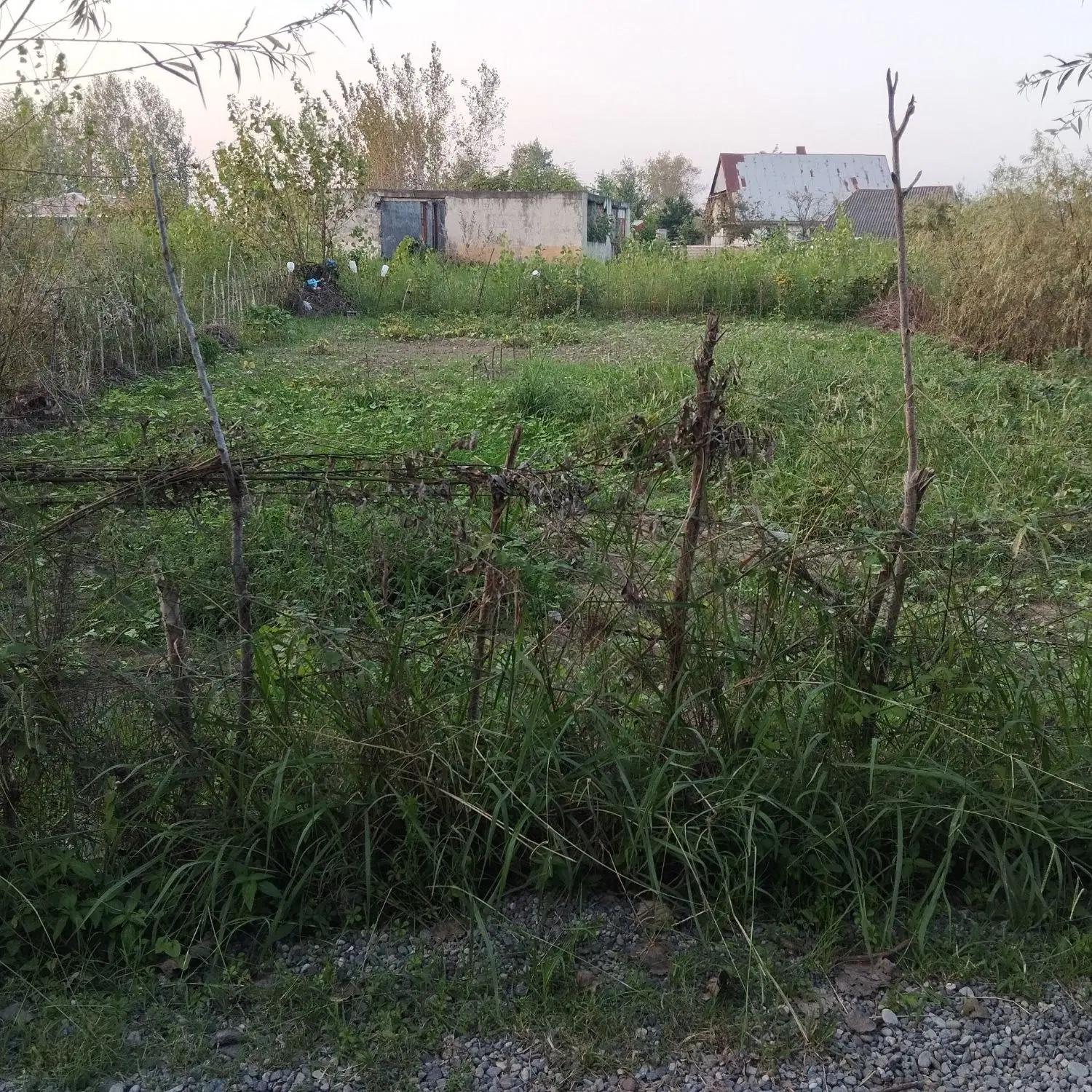 فروش زمین