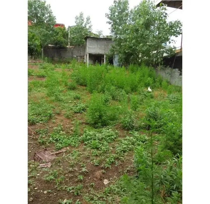 زمین مسکونی سورتمه سیاه داران