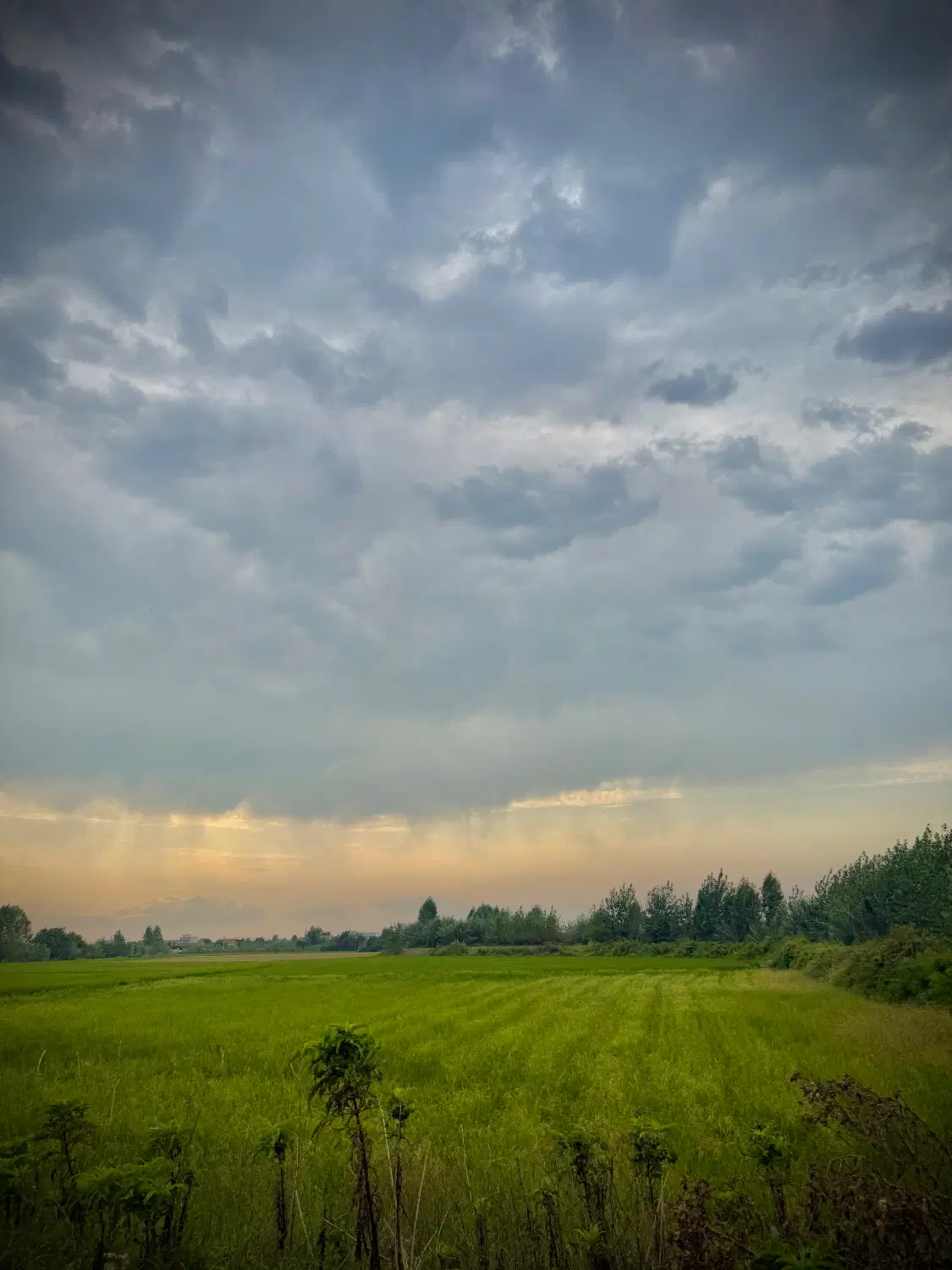 زمین کشاورزی۳۰۰۰۰ هزار متر