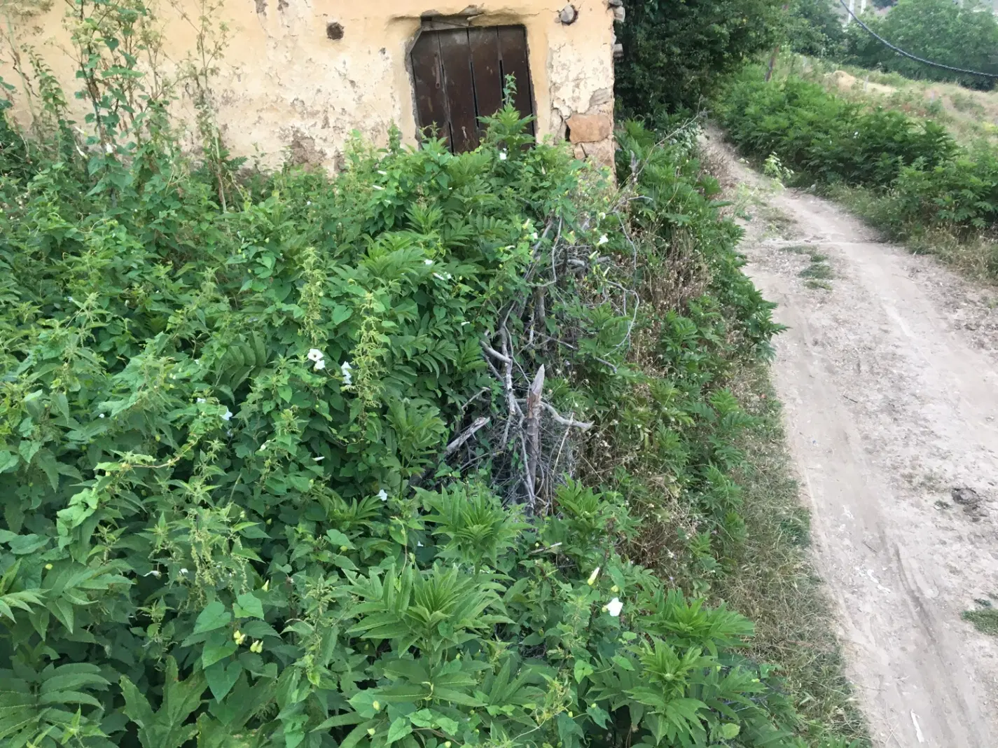 زمین مسکونی ییلاق زیبا و مدرن پل سفید رجه