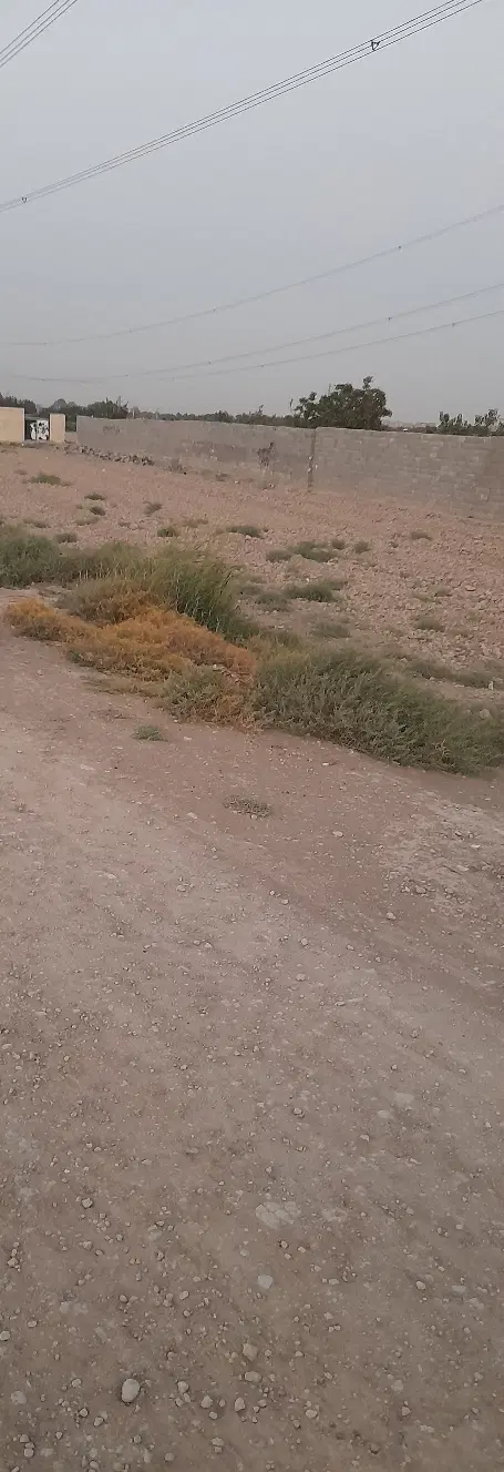۷۰۰متر زمین باغی معاوضه با خودرو