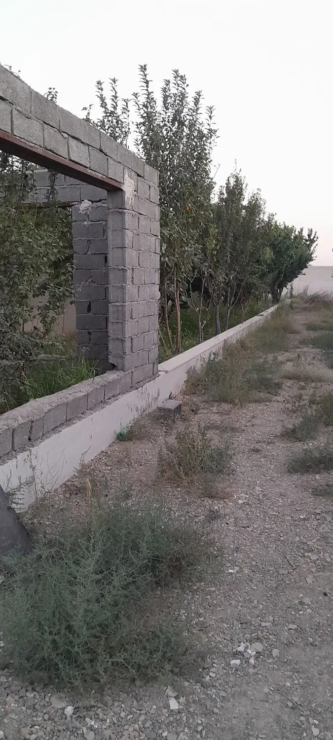 فروش باغ