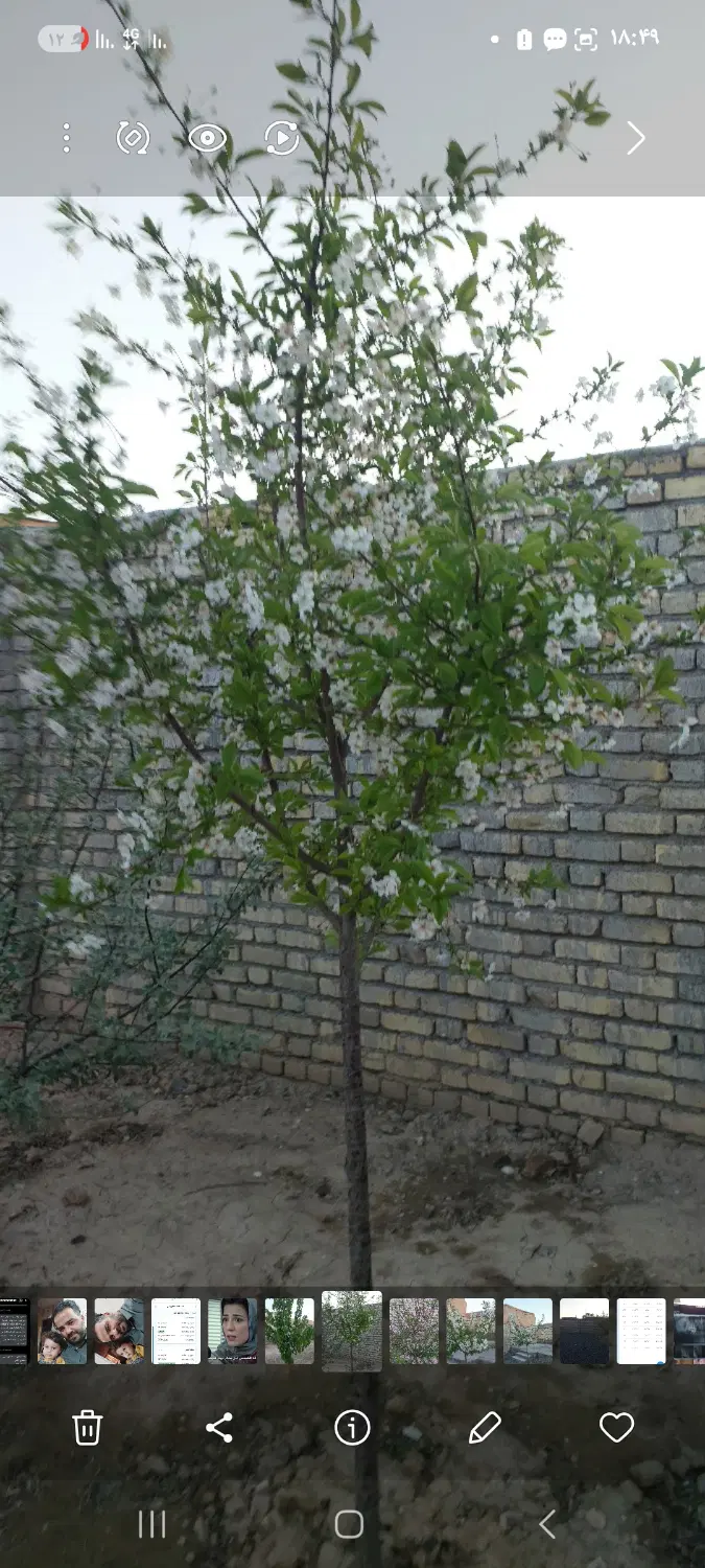 چهاردیواری واقع در روستای راهزان