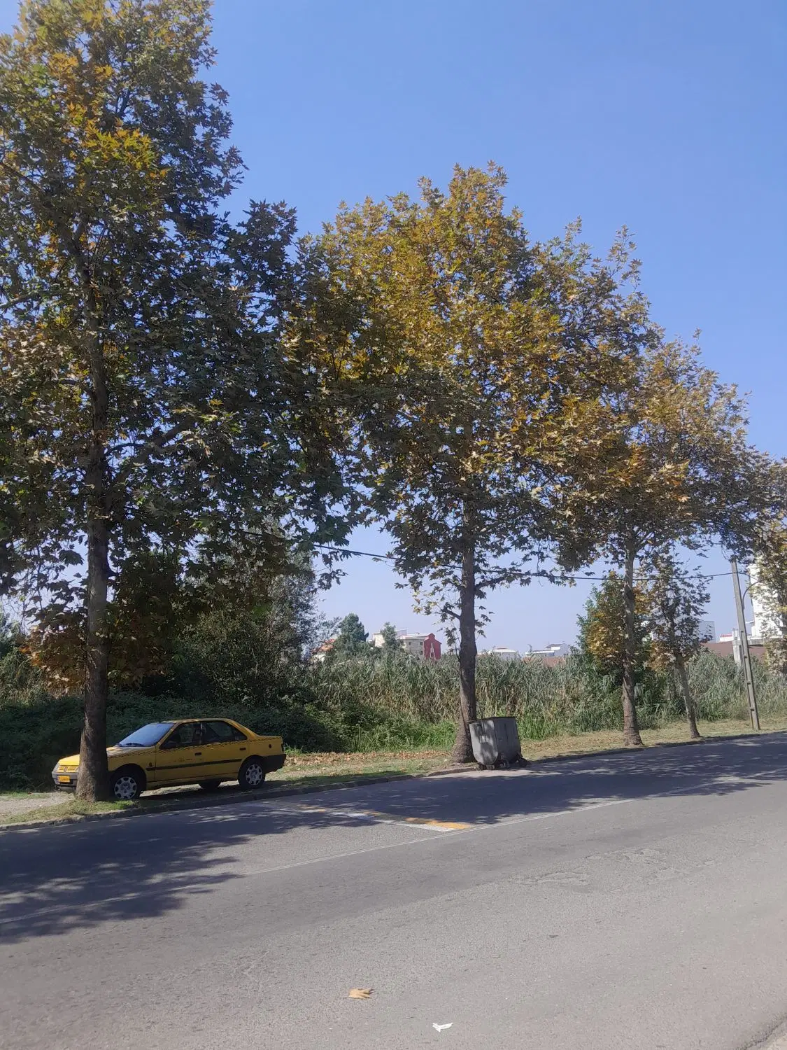 ۴۳۰۰متر زمین مناسب سرمایه گذاری بر جاده