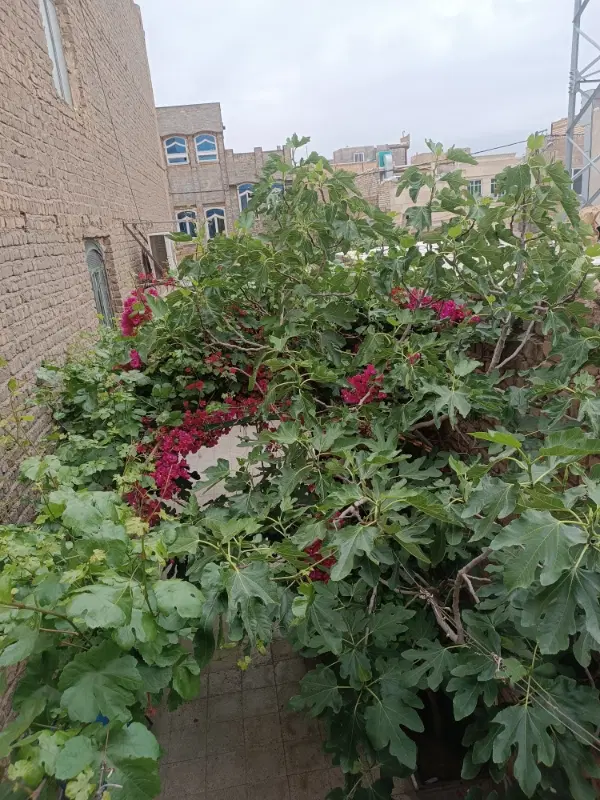 خانه دوطبقه بدون کوچکترین خرج اضافی