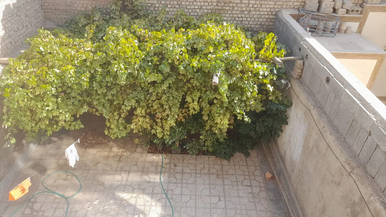 منزل