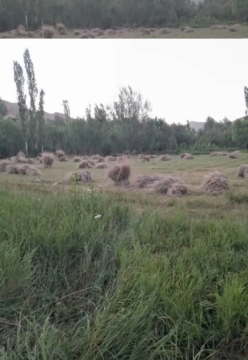 زمین تجاری سه بر، بر خیابان نبی اکرم(رنجبرا)