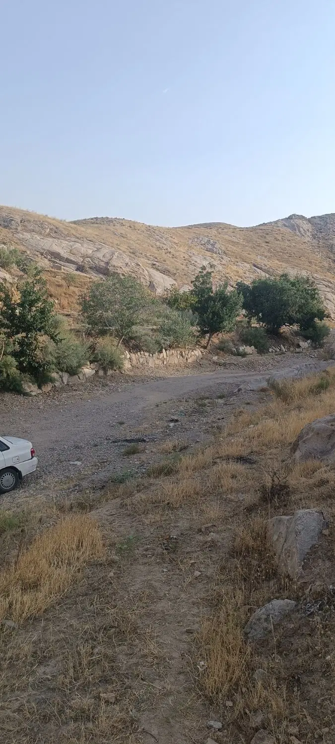 باغچه باغ زمین