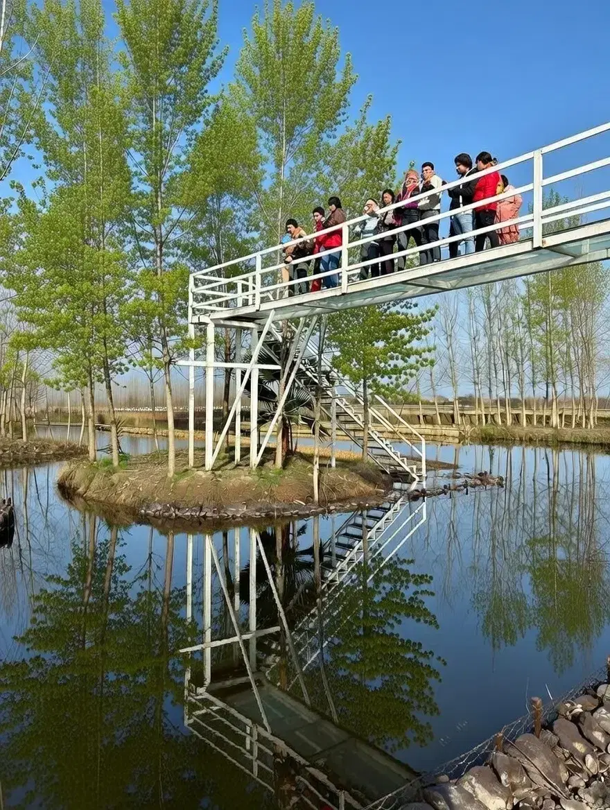 به آسونی ویلا بخر